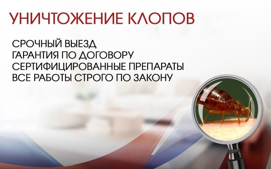 Уничтожение клопов